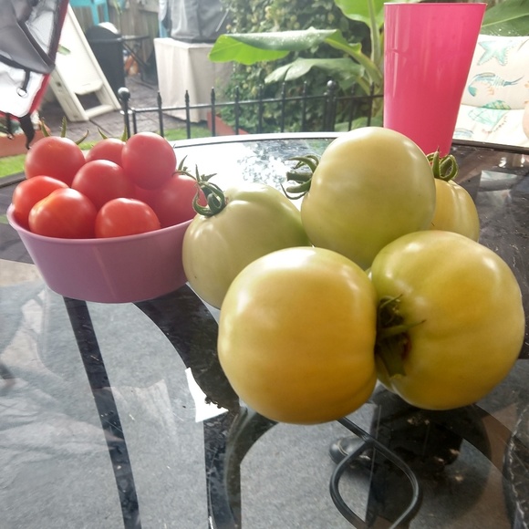 Meet your Posher, Brittany - Picture 1 of 1